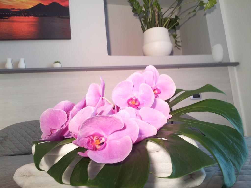 نابولي B&B Solimena المظهر الخارجي الصورة